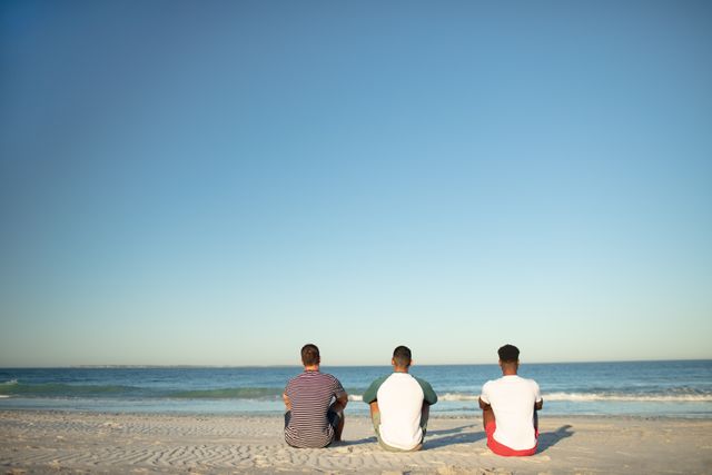 Rear view of male friends relaxing together on the beach