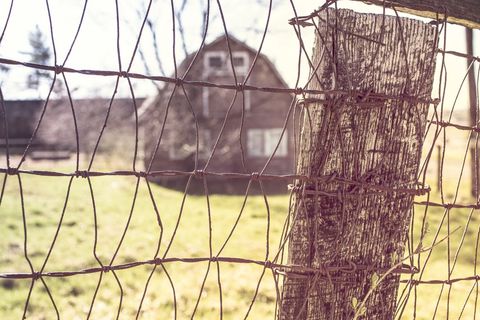 Countryside Barn Behind Wire Fence with Sunlight Filtering