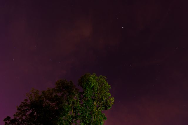 Starry Night Sky with Tree Silhouette Against Purple Clouds - Download Free Stock Images Pikwizard.com