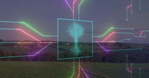 Neon circuit-tree overlay connecting smart farming landscape with digital network grid