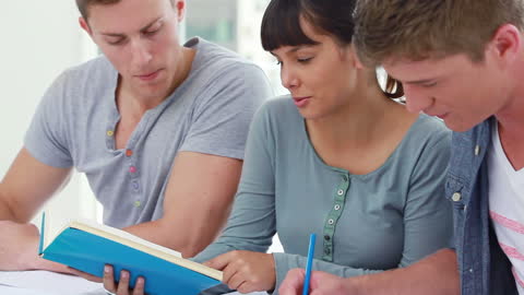Diverse Group of Students Collaborating in Bright Study Space