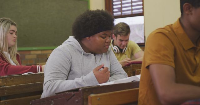 Diverse Students Studying in Classroom Setting - Download Free Stock Images Pikwizard.com