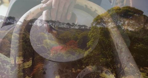 Creative Potter Spinning Clay with Forest Canopy Harmony