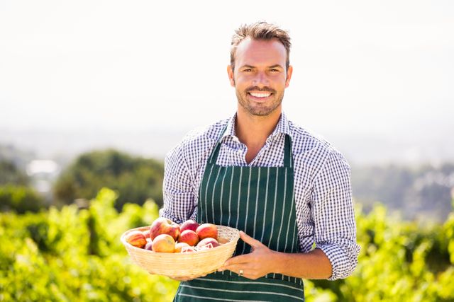 Young man in plaid shirt and apron holding basket of apples in orchard on sunny day. Ideal for use in agricultural promotions, organic produce advertisements, rural lifestyle blogs, and healthy eating campaigns.