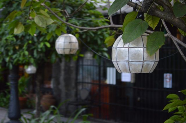 This photo features white lanterns hanging from leafy tree branches in a garden setting during the evening. The lanterns provide a serene, softly-lit ambiance perfect for a cozy outdoor gathering space. Use this image for showcasing outdoor lighting ideas, garden design inspirations, or advertisements for garden decor products.