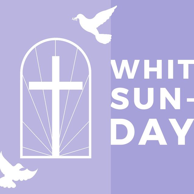 White Cross and Doves with Whitsunday Text on Purple Background - Download Free Stock Videos Pikwizard.com