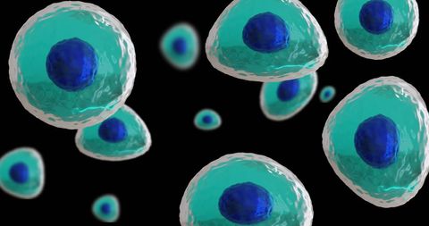 Colorful 3d render of biological cells floating against black background