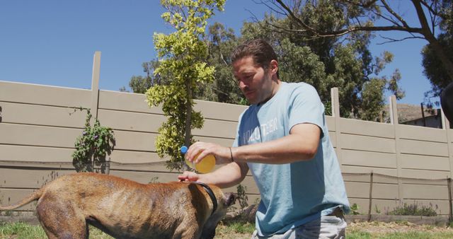 Man Treating His Dog for Fleas in Backyard - Download Free Stock Images Pikwizard.com