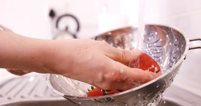 Washing Fresh Strawberries in Kitchen Sink - Download Free Stock Photos Pikwizard.com