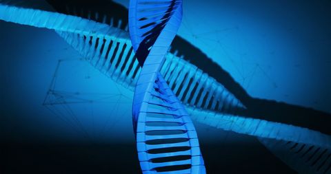 Spinning Blue DNA Strand Illustration Featuring Scientific Themes - Download Free Stock Images Pikwizard.com