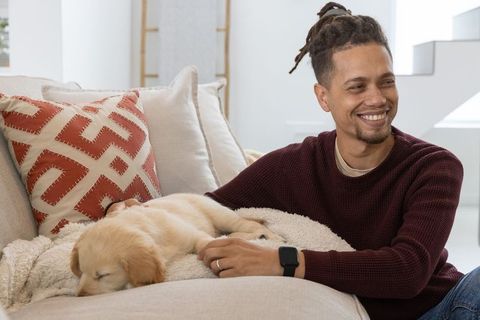 Man petting golden retriever puppy on cozy beige sofa in sunlit modern living room