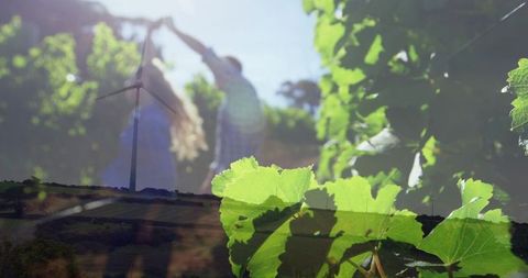 Sunlit grapevine leaves overlaying blurred couple celebrating in double exposure vineyard