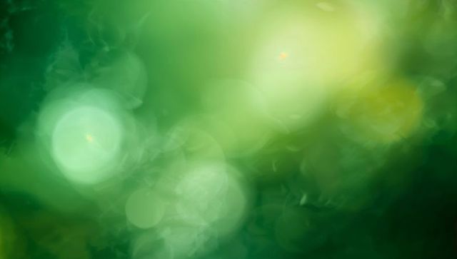 Emerald bokeh canopy backlit foliage abstract background with soft leaf-like highlights
