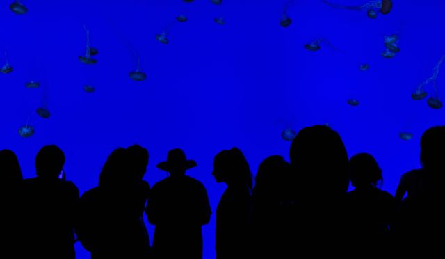 Silhouettes of people viewing jellyfish against vibrant blue. Ideal for showcasing fascination with marine life, promotional materials for aquariums, brochures, websites, travel guides, educational content on ocean biodiversity.