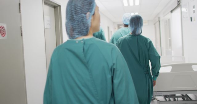 Medical Team Walking in Hospital Corridor - Download Free Stock Images Pikwizard.com