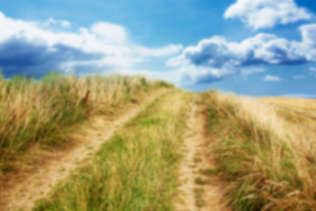 Transparent Dusty Path in Countryside with Grass Growing and Blue Sky Background - Download Free Stock Videos Pikwizard.com