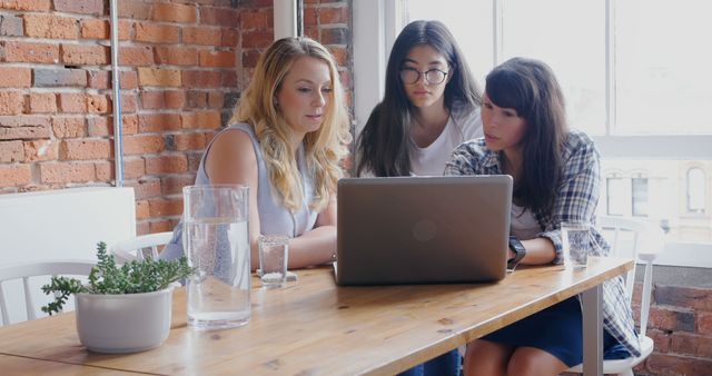 Young Women Collaborating on Laptop at Wooden Table - Download Free Stock Images Pikwizard.com