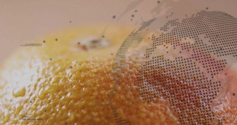 Macro orange peel revealing textured pores and water droplets with halftone globe overlay