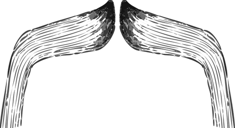 symmetrical brushstroke wings on transparent background - Download Free Stock Videos Pikwizard.com