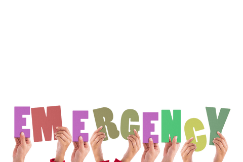 handholding emergency text transparent png illustration - Download Free Stock Videos Pikwizard.com
