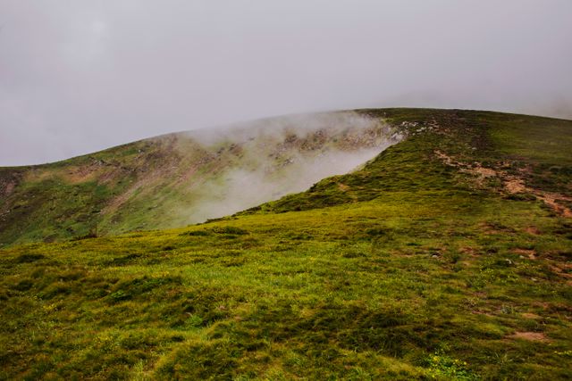 Misty Mountain Landscape with Greenery and Fog - Download Free Stock Photos Pikwizard.com