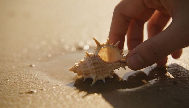 Fingertip holding spiky seashell on wet sand at golden hour with soft shadow and reflection