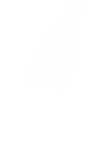 Dynamic Abstract Shape on Transparent Background - Download Free Stock Videos Pikwizard.com