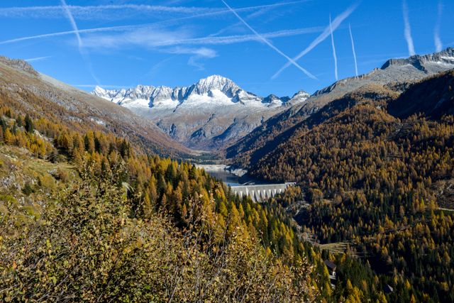 Capturing the breathtaking view of a vibrant autumn forest nestled within a stunning mountain landscape. Snowcapped peaks tower over the scenery under a clear blue sky marked by crisscrossing contrails. This image is perfect for illustrating the beauty of nature, promoting outdoor travel and adventure, or for any design that requires a vivid depiction of natural landscapes and alpine scenery.