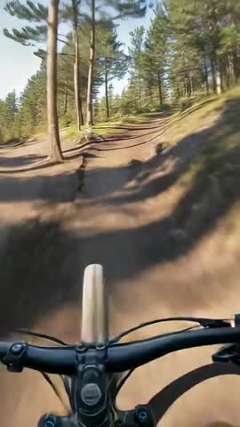 Riding Mountain Bike Down Sunlit Pine Singletrack POV Vertical Video Approaching Curve
