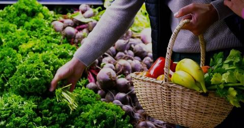 Grocery Shopping for Fresh Produce with Basket in Market