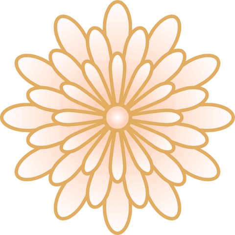 abstract flower motif with layered gradient petals on transparent background - Download Free Stock Videos Pikwizard.com