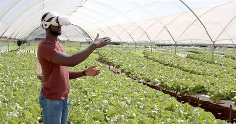 African american man using vr headset in hydroponic farm