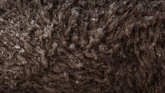 Shaggy pile collecting ice crystals macro texture brown fibrous fleece closeup