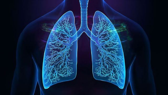 Neon cyan lungs with detailed bronchial tree illustration showing airway anatomy