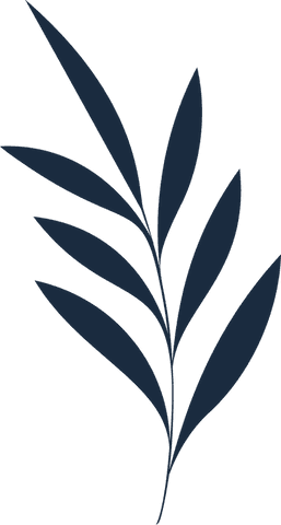 Botanical silhouette of branch on transparent background