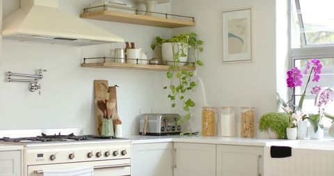 Sunlit modern farmhouse kitchen corner featuring gas range, toaster, hanging pothos and orchid