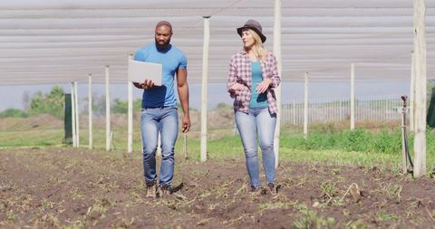 Multicultural Team Digital Farming in Greenhouse