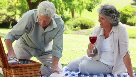Senior Couple Picnicking in Park with Wine and Strawberries