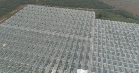 Vast Green Plant Farm Covered with Rooftop Glass - Download Free Stock Images Pikwizard.com