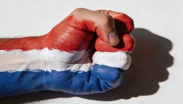 Clenched fist painted red white blue tricolor on forearm showing brush strokes and shadow