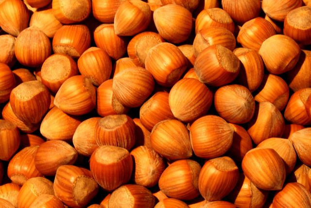 Hazelnuts in shells filling the frame, showcasing their texture and natural color. Useful for backgrounds, nutrition blogs, healthy eating promotions, or organic food packaging designs.