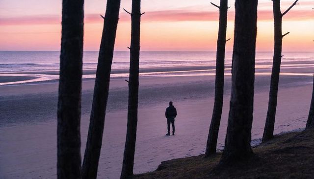 Standing solitary figure gazing at pastel sunset over low-tide beach framed by pines