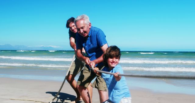 Multi-Generational Family Playing Tug of War on Beach - Download Free Stock Images Pikwizard.com