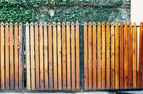 Wooden Fence with Ivy Background in Urban Environment