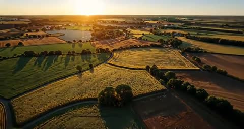 Drone Soaring Over Idyllic Pastoral Fields at Golden Hour