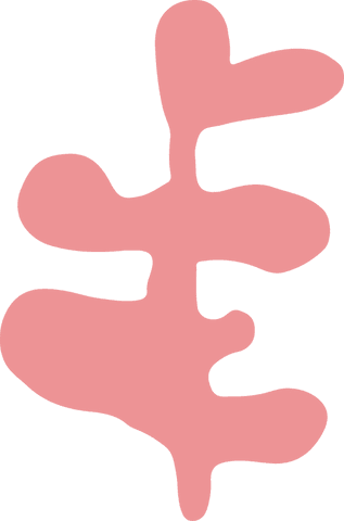 abstract pink coral form with transparent background - Download Free Stock Videos Pikwizard.com