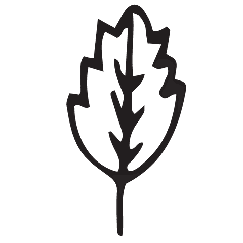 abstract leaf symbol on transparent background - Download Free Stock Videos Pikwizard.com