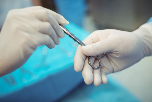 This image shows a surgeon passing surgical scissors to a colleague in an operation theater, highlighting teamwork and precision in a medical setting. Ideal for use in healthcare articles, medical training materials, hospital websites, and educational content about surgical procedures.