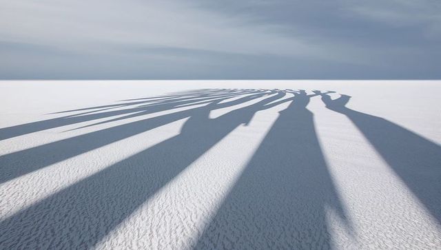Long human silhouettes casting dramatic shadows across white salt flat horizon minimalist