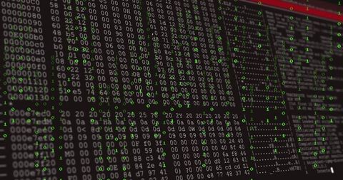 Hexadecimal and Binary Code Analysis in Tech Lab Display